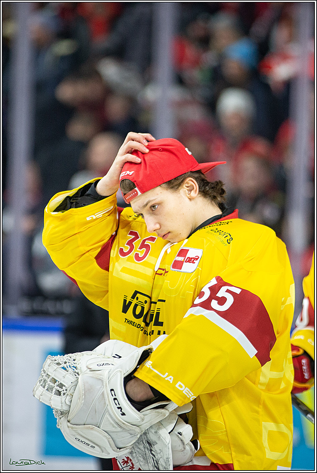 PENNY DEL; Koelner Haie- Duesseldorfer EG; Koeln, 16.12.2022